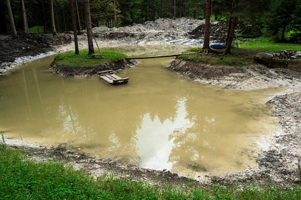 lake and pines in the forest.puddle after rain