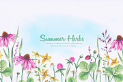 Summer Herbs, an Illustration by oKOLOstyle (Thumbnail 1 of 5)