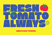Lemota Font, a Sans Serif Font by Marvadesign (Thumbnail 2 of 14)