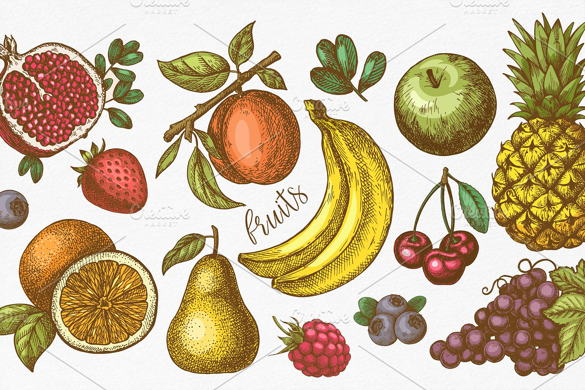 Fruits. Hand drawn collection., a Food Illustration by natadanko (Photo 3 of 4)