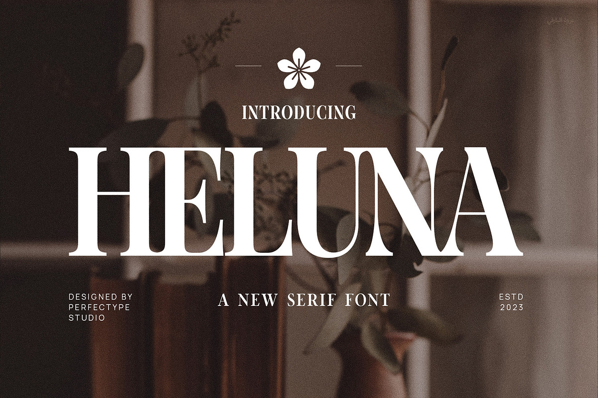 Heluna Elegant Serif Font Typeface, a Serif Font by Perfectype (Photo 1 of 7)