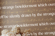 Kingdom Estella Font Duo, a Serif Font by Storytype Studio (Thumbnail 9 of 15)