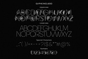 Tropic Summer - Botanical Luxury Dis, a Symbol Font by AndrewPixelType (Thumbnail 8 of 9)