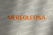 Mereoleona | Font Duo, a Script Font by zuzulgo (Thumbnail 8 of 8)
