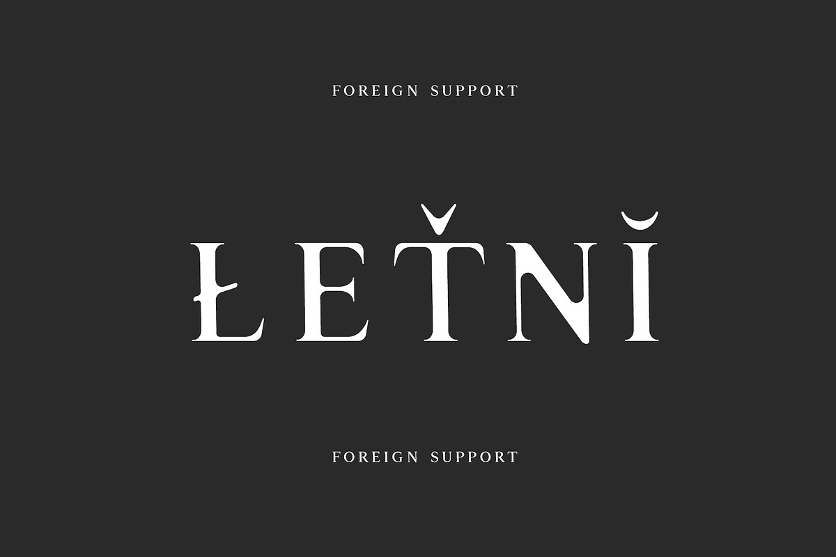 Qanaya Serif Font Family Pack preview 4