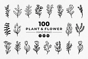 Plant and flower hand-drawn set, an Object Illustration by Tekuni (Thumbnail 1 of 6)