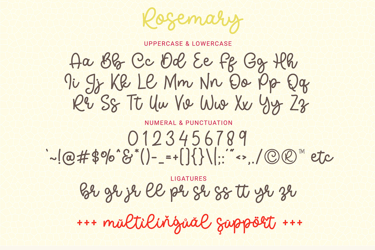 Rosemary - Cute Monoline Font, a Script Font by Airotype (Photo 8 of 9)