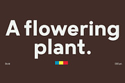 Motiraw, a Sans Serif Font by Typesketchbook Foundry (Thumbnail 3 of 10)