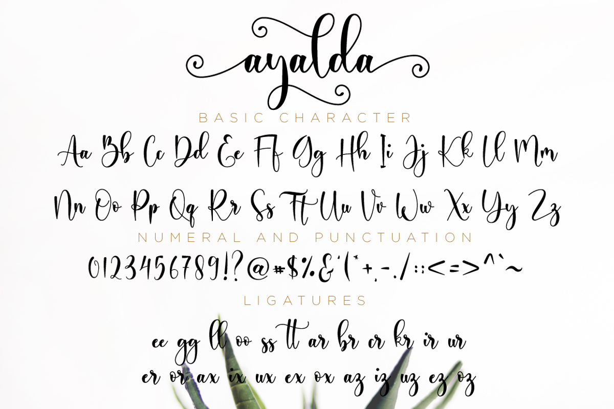 Ayalda Script, a Script Font by Nissa Studio (Photo 11 of 12)