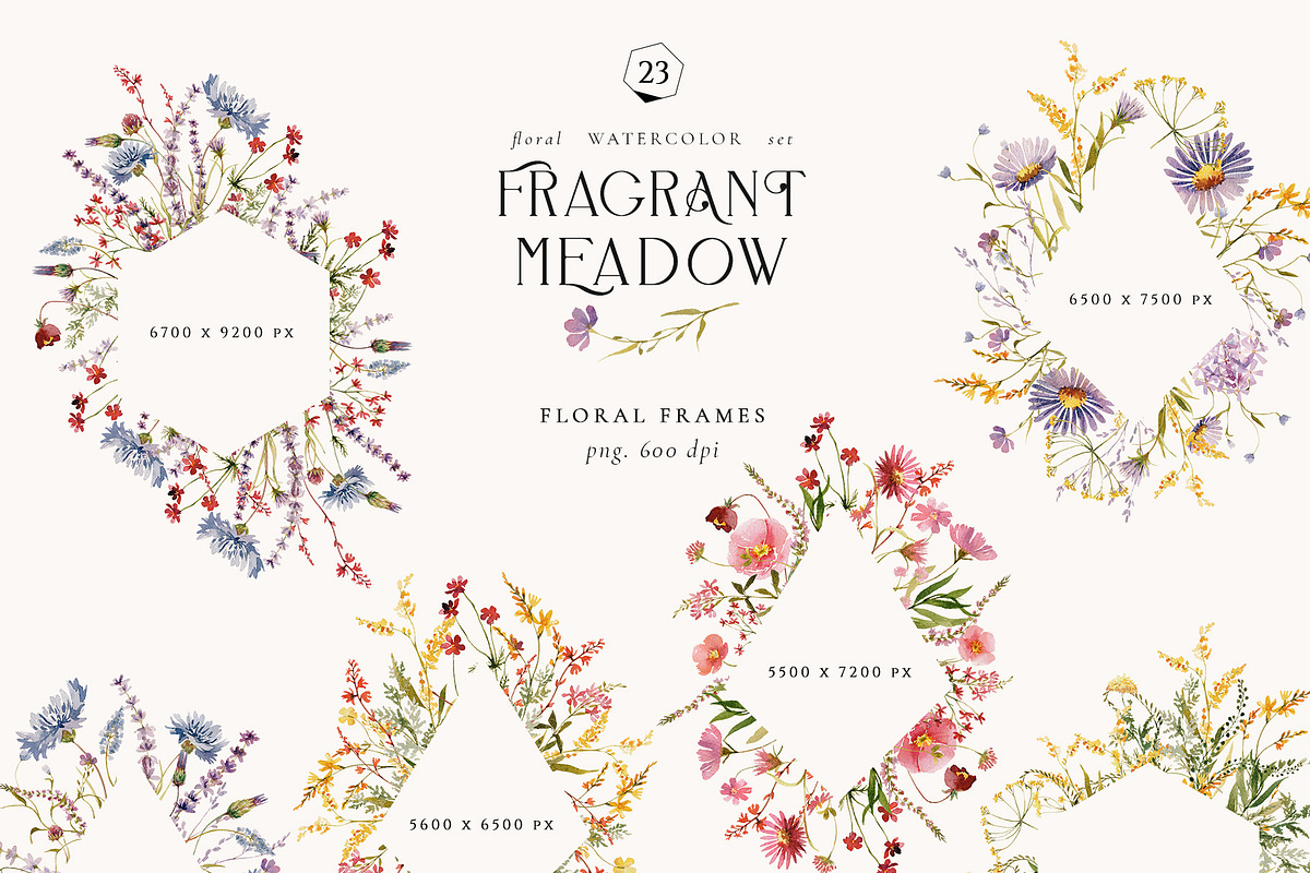 Fragrant Meadow - watercolor flowers, a Decorative Illustration by Pamyatka Shop (Photo 4 of 13)