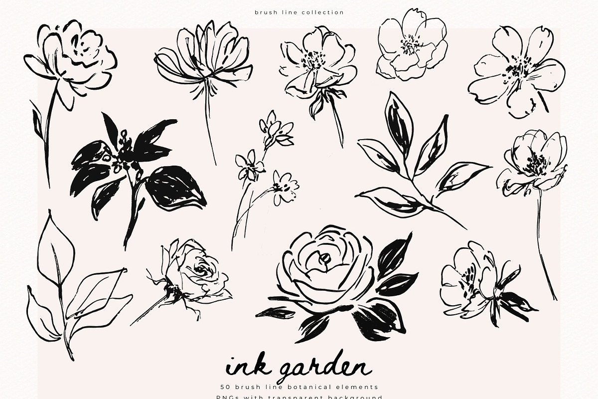 Ink Garden - 50 Brush Line Elements, a Decorative Illustration by PeDe Designs (Photo 7 of 7)