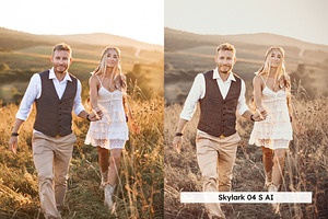 20 Boho Style Lightroom Presets LUTs