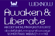 Supreme Instinct font, a Sans Serif Font by weknow (Thumbnail 4 of 8)