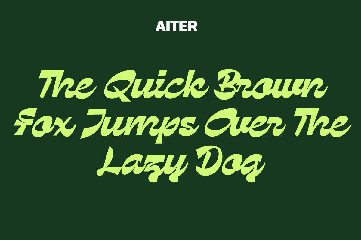 Dx Aiter - Bold Modern Typeface, a Script Font by Dirtyline Studio (Photo 8 of 13)