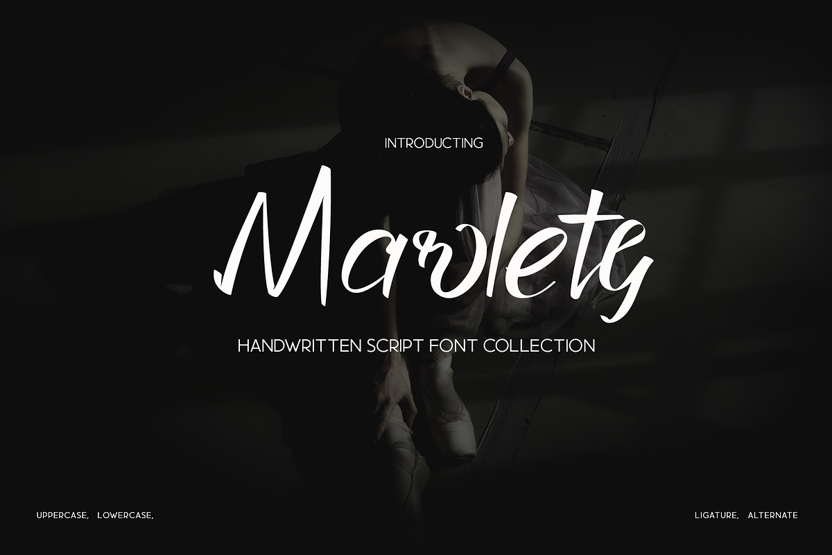 Marlety - Beauty Handwritten Font, a Script Font by ivan_artnivora (Photo 1 of 5)