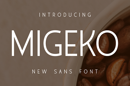 Migeko Sans Slim Font, a Sans Serif Font by Monoletter Studio