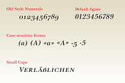 Eurotypo BKL Italic, a Script Font by Eurotypo (Thumbnail 6 of 8)