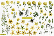 Yellow flowers. Watercolor set., an Illustration by Noli Molly Store (Thumbnail 2 of 8)