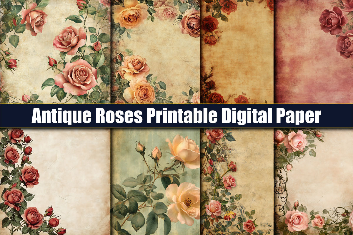 700+ Background Bundle, a Background Graphic by protabsorkar11 (Photo 14 of 20)