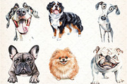 Watercolor Funny Dog Clipart Bundle, an Illustration by DreamCafeArt (Thumbnail 3 of 7)