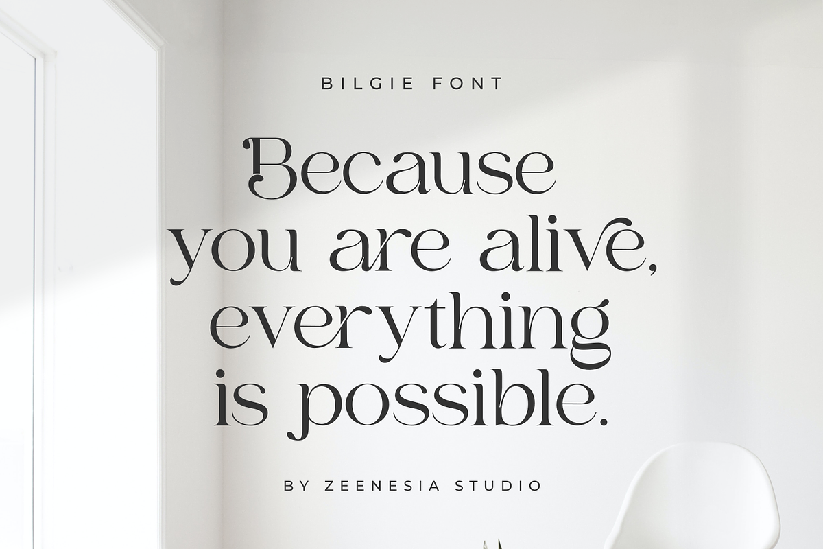Bilgie - Chique Serif Font, a Serif Font by zeenesia (Photo 13 of 19)