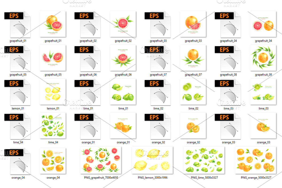 Watercolor citrus set, a Food Illustration by Evgeniia Zagreeva (Photo 2 of 5)