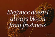 Figo Shiftz - Editorial Serif & Sans, a Serif Font by Propertype (Thumbnail 11 of 26)