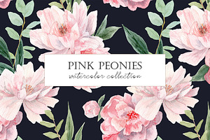 Watercolor Peony. Pink peonies.