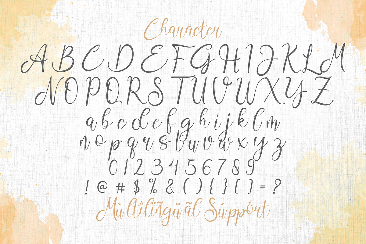 Aisbum Slashey - Modern Script Font, a Script Font by StringLabs (Photo 9 of 10)