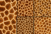 Realistic Giraffe Fur Texture, a Pattern Graphic by Artonix (Thumbnail 4 of 4)
