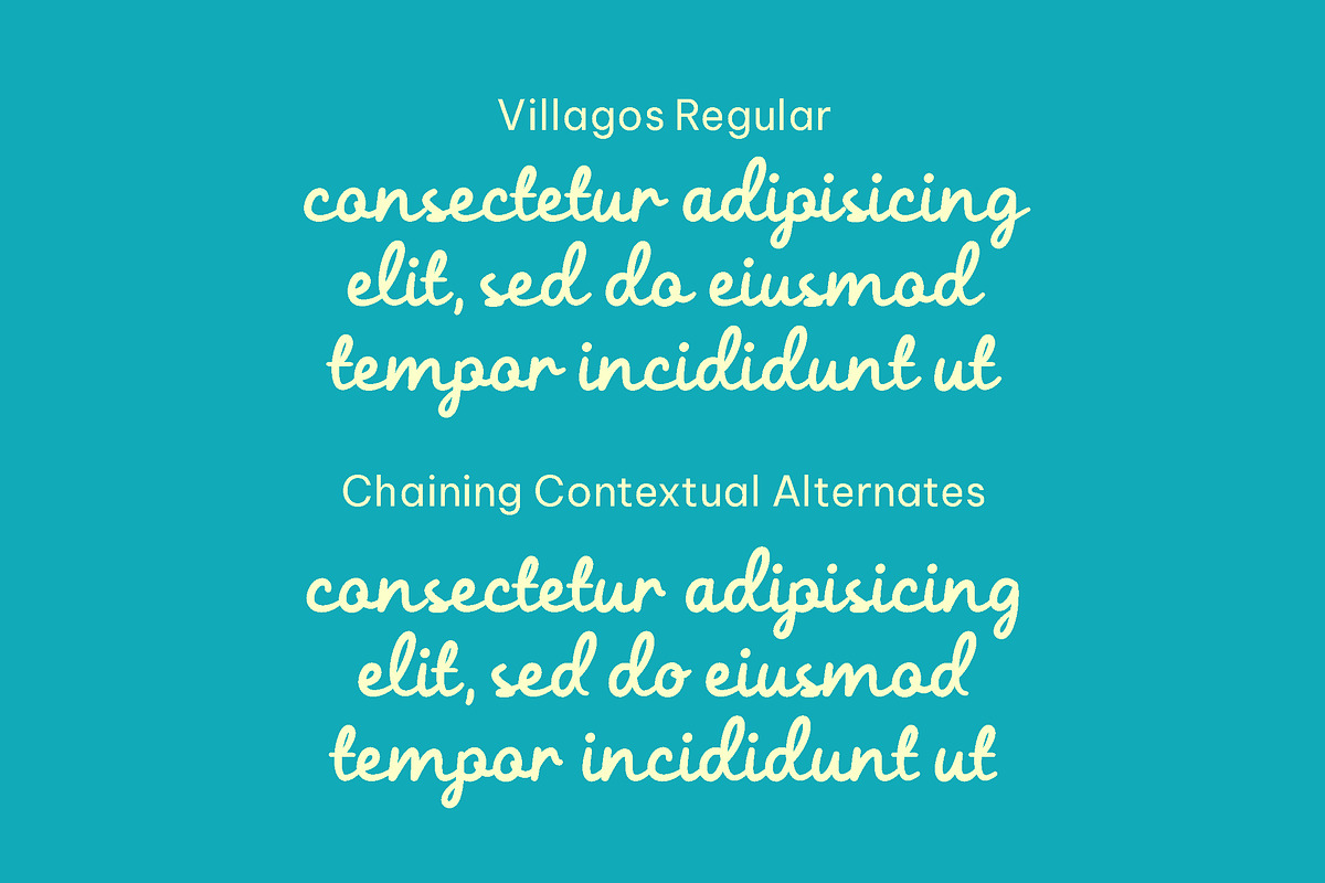 Villagos - Brush script font, a Script Font by Fontcastle (Photo 2 of 5)