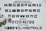 Retro, a Sans Serif Font by FreshTypeINK (Thumbnail 4 of 7)