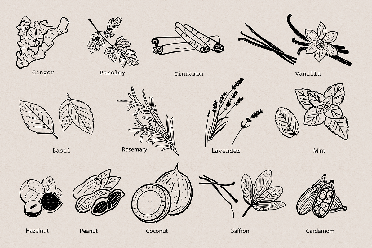 Flavours of the world - line art, a Food Illustration by PenguinArtStudio (Photo 2 of 9)