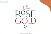 La Rosa Font Duo//Chic Logos, a Serif Font by SNIPESCIENTIST (Thumbnail 3 of 34)