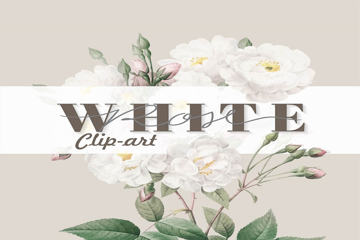 Watercolor White Floral Clipart Set, an Illustration by Digi_Design_World (Photo 2 of 5)