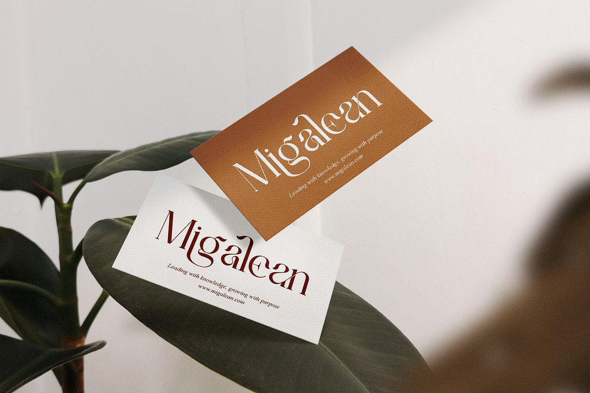 Chania || Modern Minimalist Serif, a Serif Font by Ermedia Studio (Photo 7 of 10)