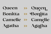 Fanilex, a Serif Font by Propertype (Thumbnail 14 of 16)