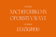 Monarque - Elegant & Chic Serif, a Serif Font by Mikhail Kitsune (Thumbnail 7 of 8)