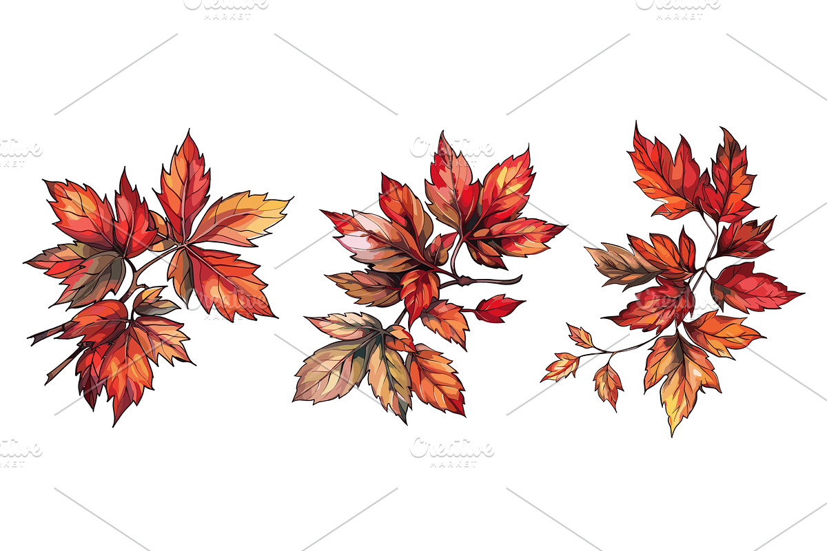 Autumn leaves branches. Fall leafs, an Illustration by Stock-Smart-Start