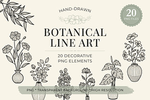 Botanical Line Art PNG Bundle