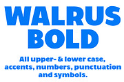 Walrus Bold font (OpenType version), a Sans Serif Font by Studio Dot by dot (Thumbnail 2 of 5)