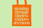 Delivery Feedback Modern Serif, a Serif Font by timelesstype.co (Thumbnail 19 of 20)