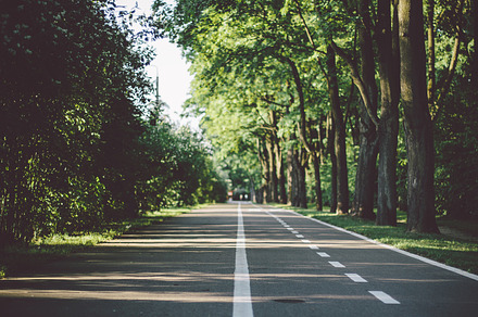 Bicycle Path 2 Containing Sidewalk Bicycle Path And Path preview 6