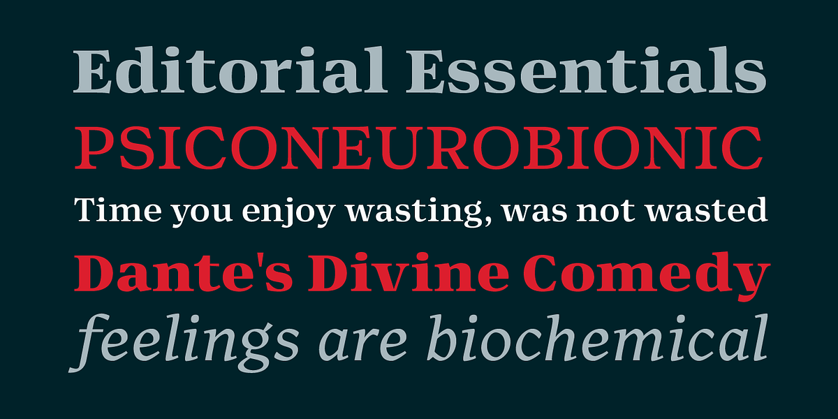 Editora, a Serif Font by Untype (Photo 5 of 12)