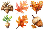 Watercolor Acorns & Oak Leaves PNG, an Illustration by Craft Nest (Thumbnail 5 of 6)