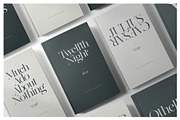 Par Realisation - Serif Typeface, a Serif Font by TypeMaison (Thumbnail 12 of 14)