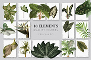 RainForest (Foliage Pattern), a Wallpaper Graphic by Luiz da Rolt Grathwohl (Thumbnail 3 of 7)
