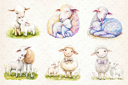 Watercolor Lamb & Ewe Love Clipart, an Illustration by Dream Creation (Thumbnail 3 of 6)