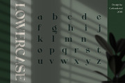 Rollgates Fabulous, a Font by Cotbada_studio (Thumbnail 9 of 12)