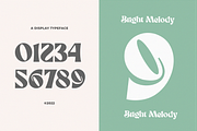 Bright Melody A Display Typeface, a Serif Font by zeenesia (Thumbnail 16 of 18)